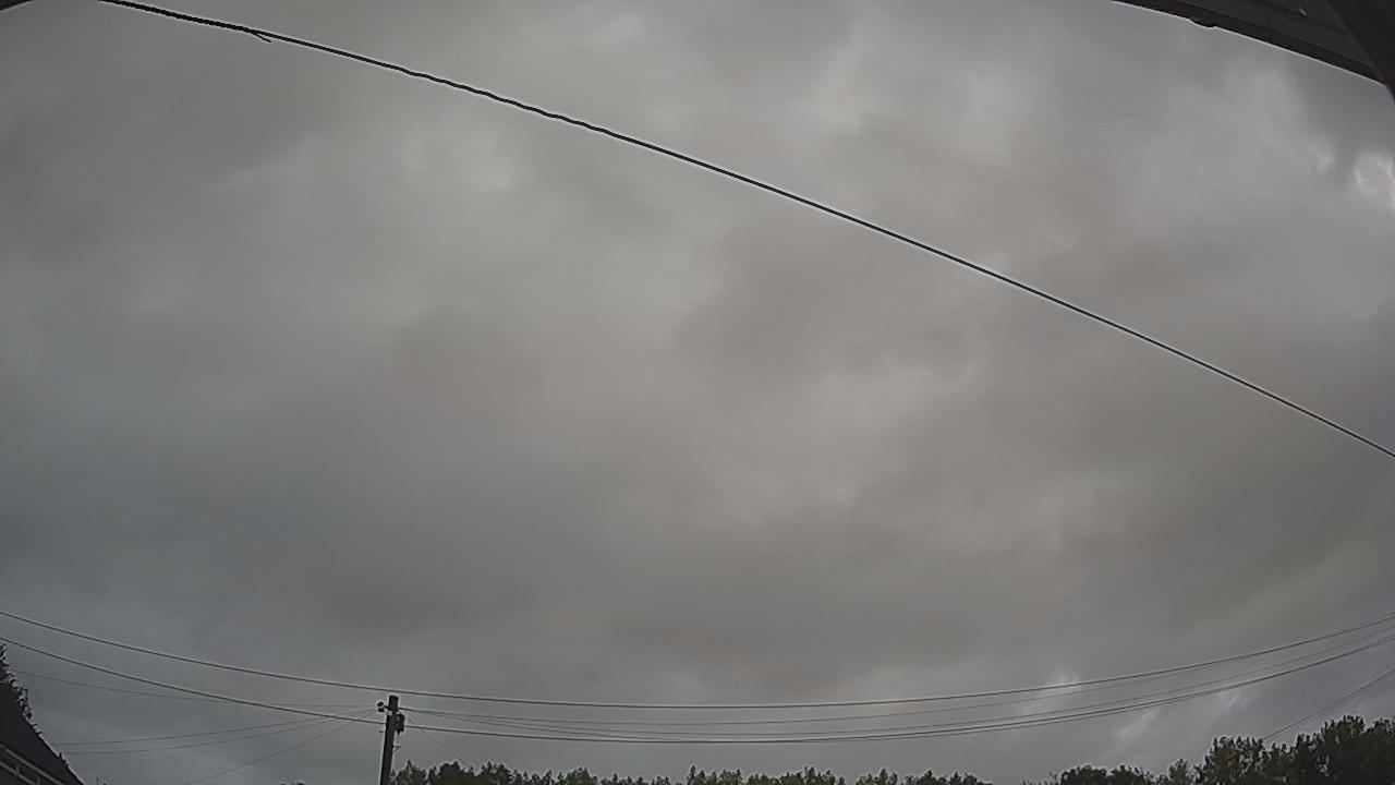 20260805_045552_cam2.jpg