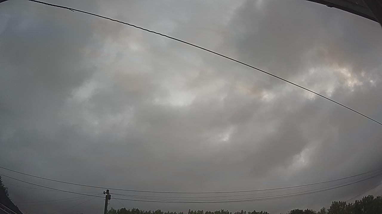 20260805_050011_cam2.jpg