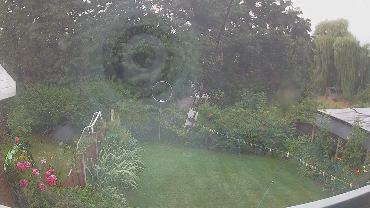 20260805_050429_cam1.jpg