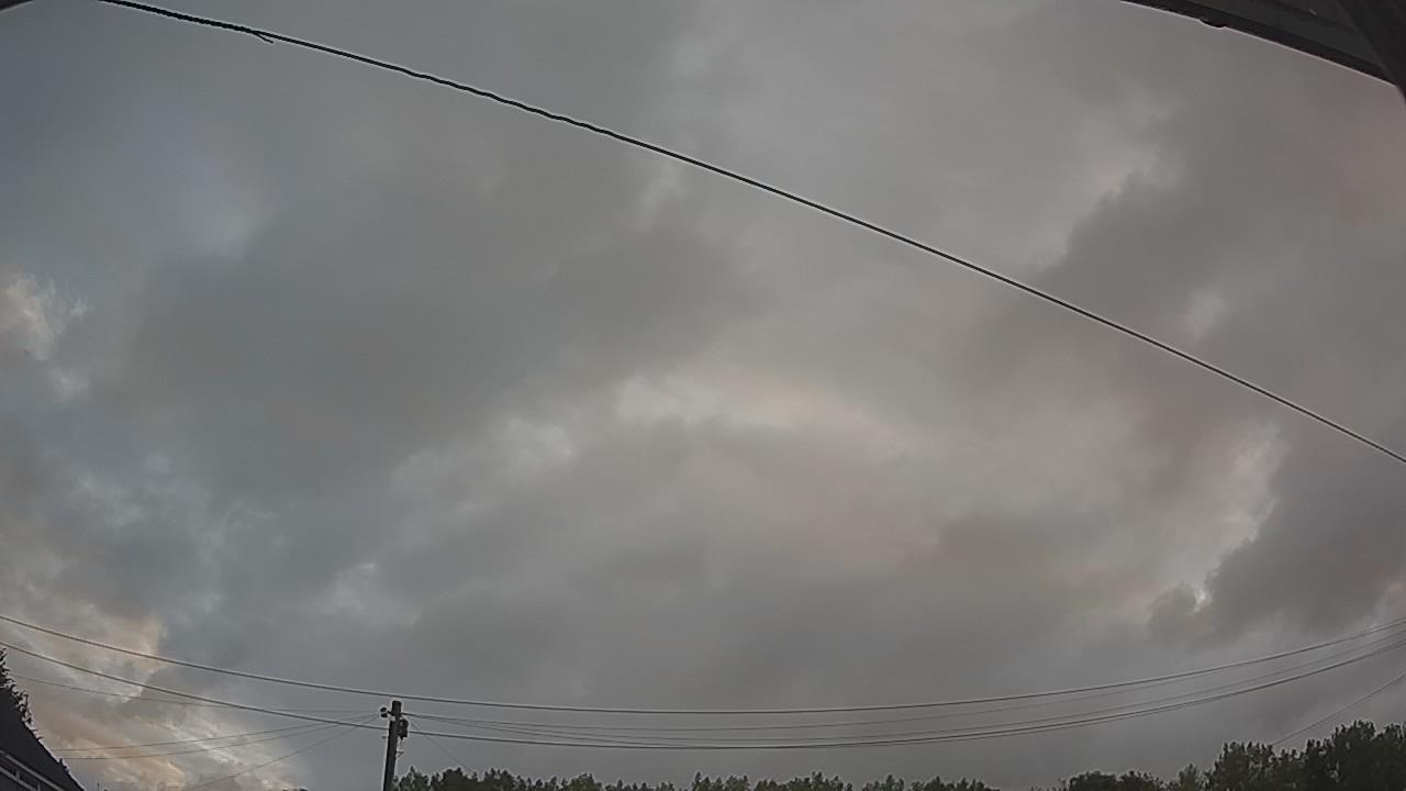 20260805_050430_cam2.jpg