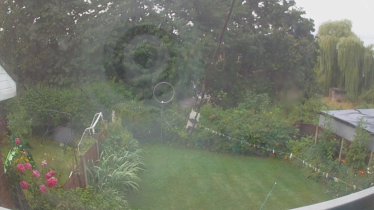 20260805_050847_cam1.jpg