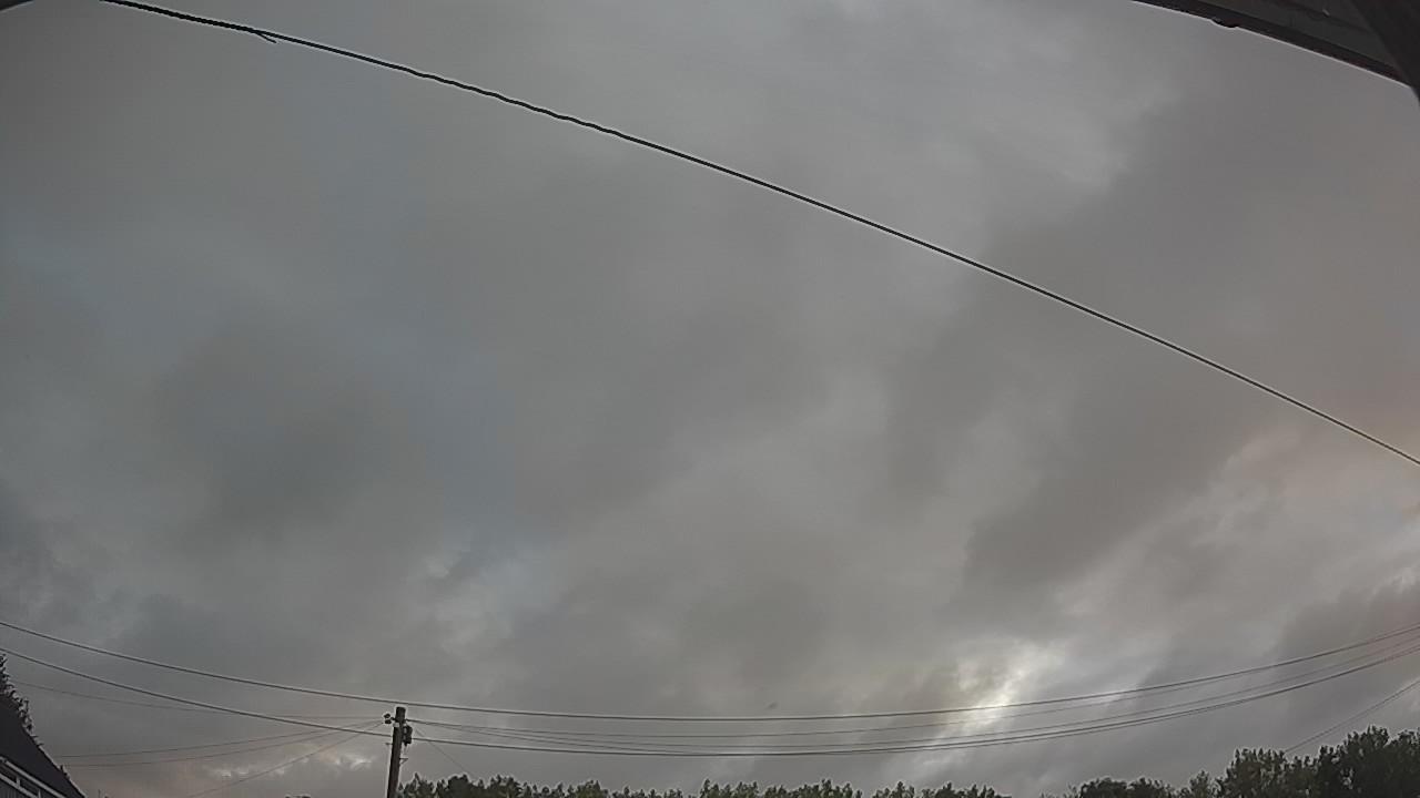 20260805_050848_cam2.jpg
