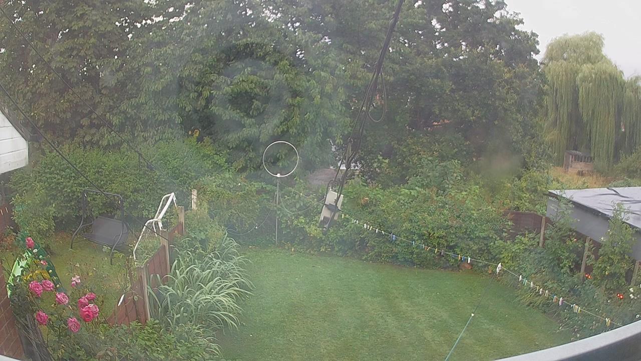 20260805_052141_cam1.jpg