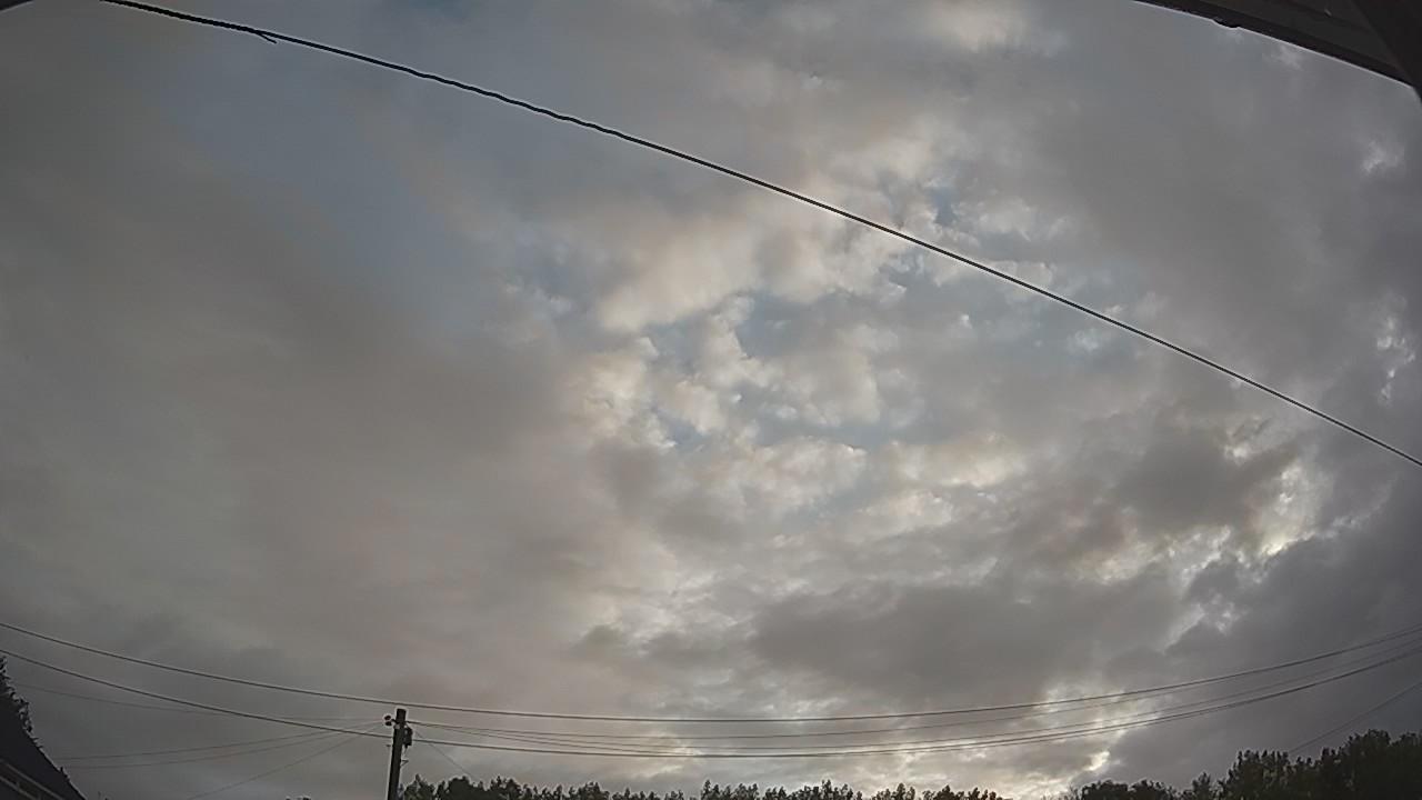 20260805_052142_cam2.jpg