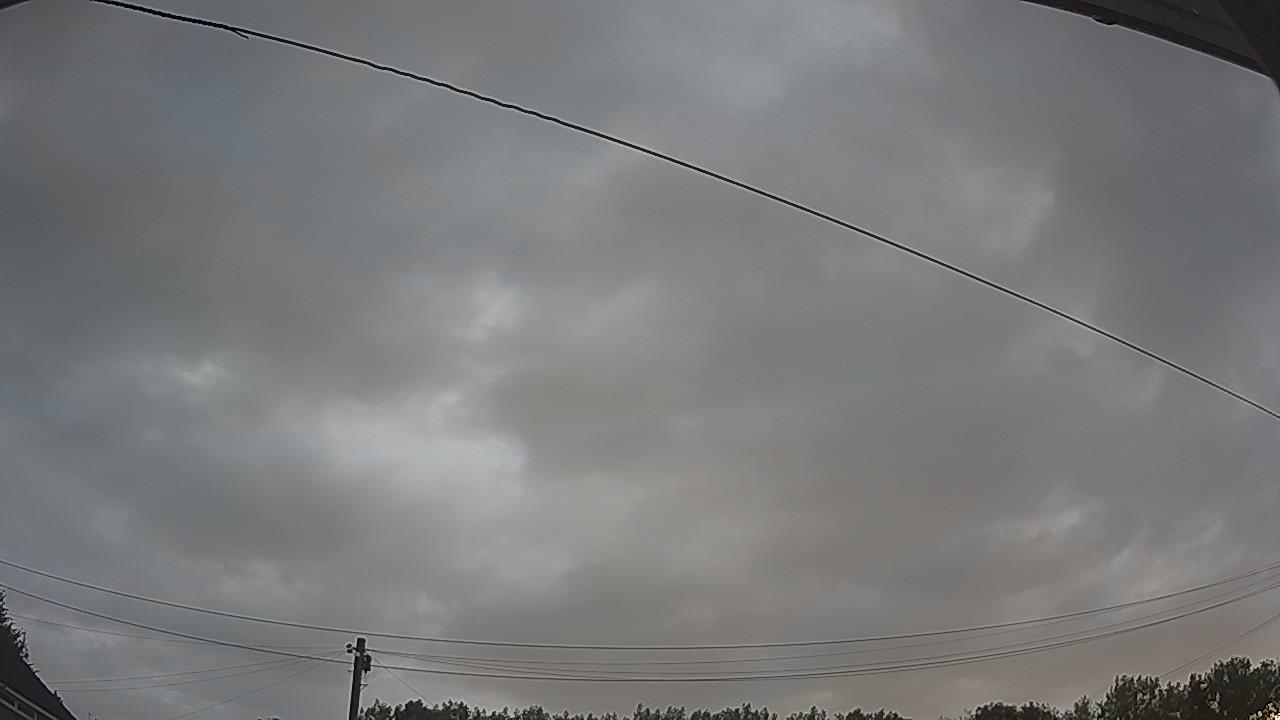20260805_053000_cam2.jpg