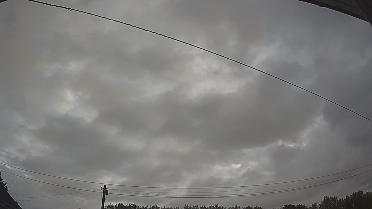 20260805_053800_cam2.jpg