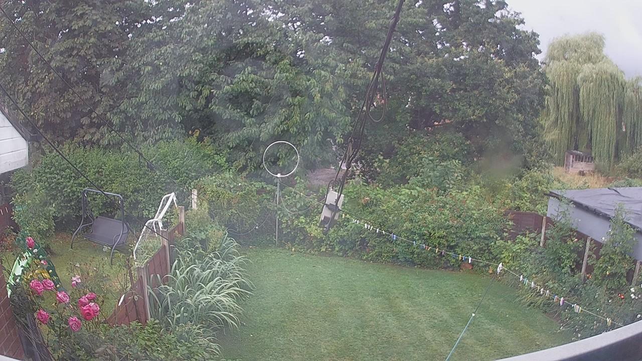 20260805_054559_cam1.jpg