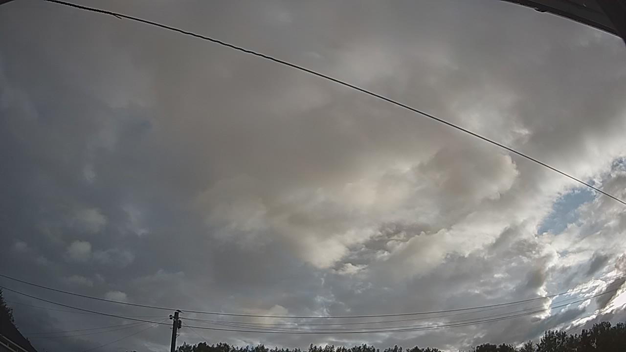 20260805_054600_cam2.jpg