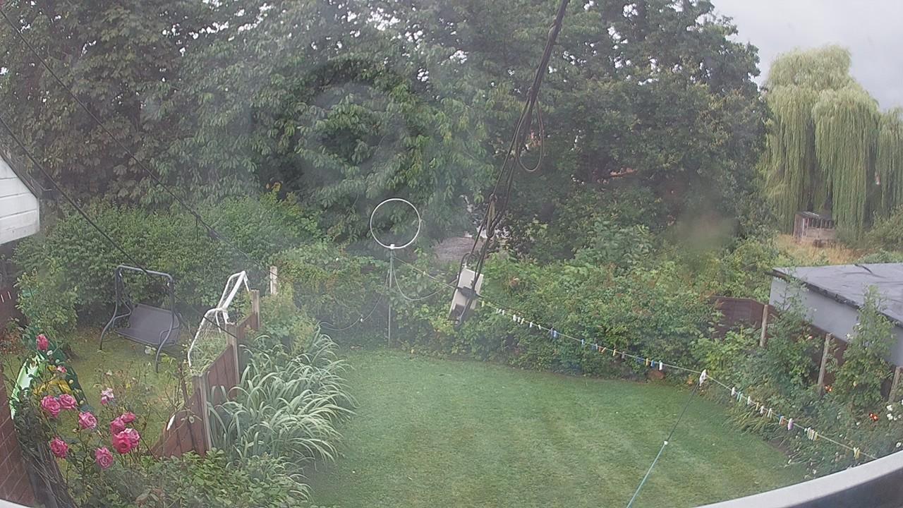20260805_054959_cam1.jpg