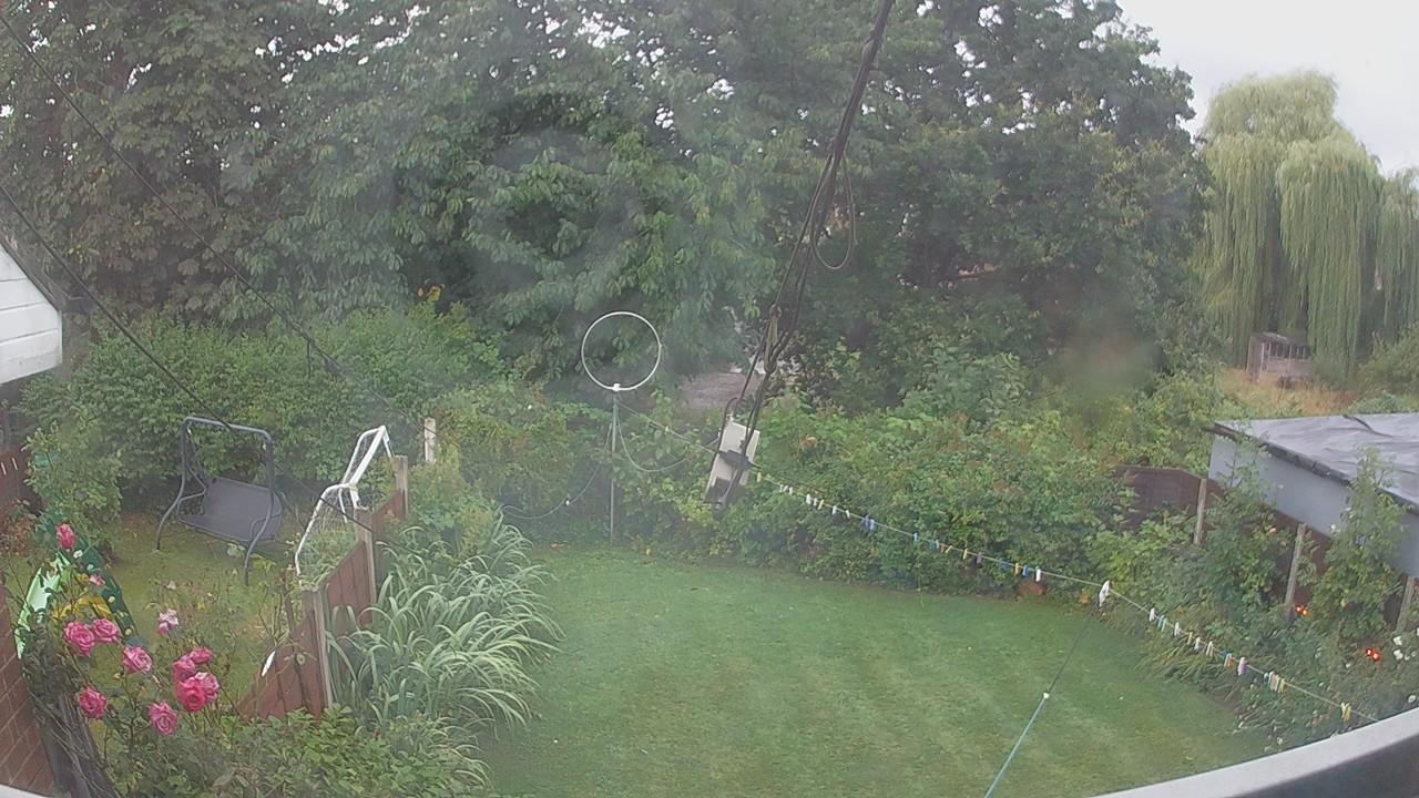 20260805_055359_cam1.jpg