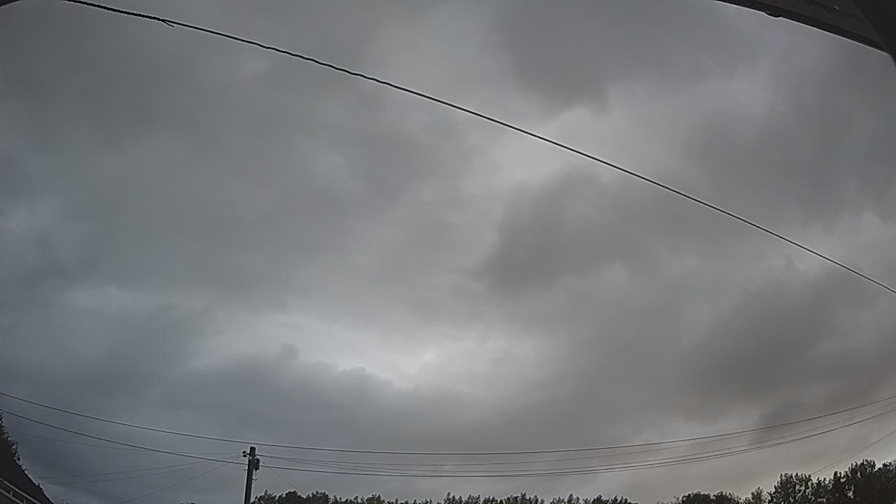 20260805_055400_cam2.jpg