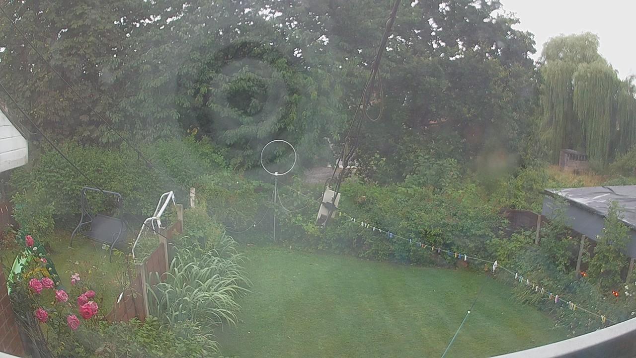 20260805_061357_cam1.jpg