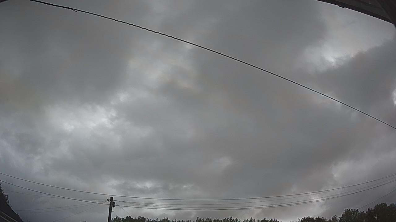 20260805_061358_cam2.jpg