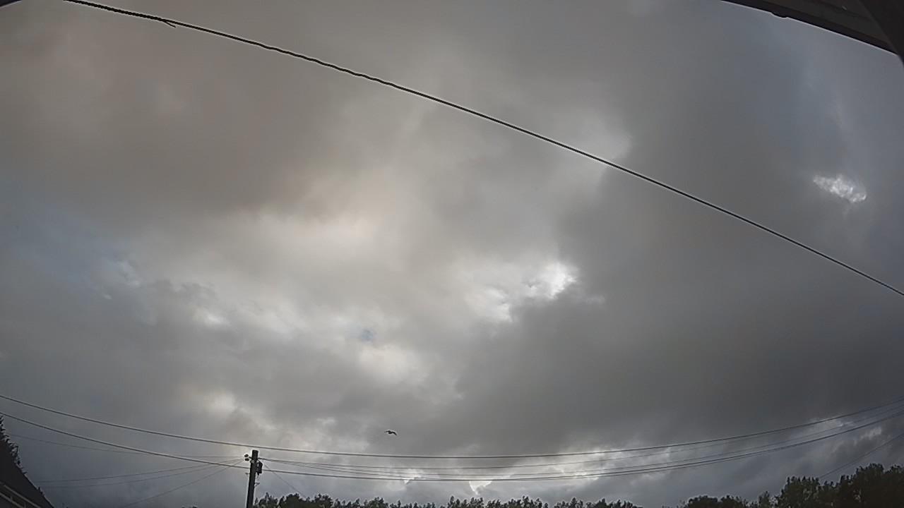 20260805_061757_cam2.jpg
