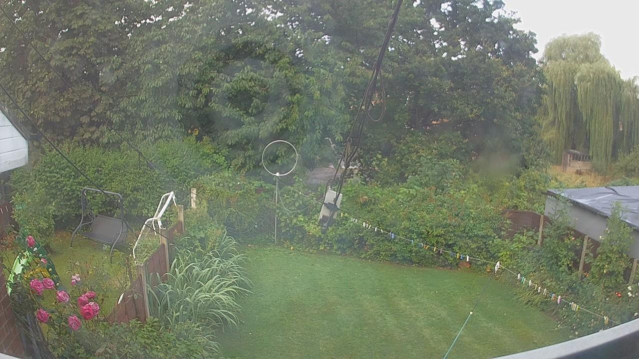 20260805_062156_cam1.jpg