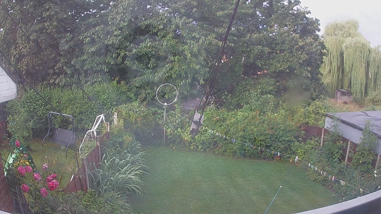 20260805_063413_cam1.jpg