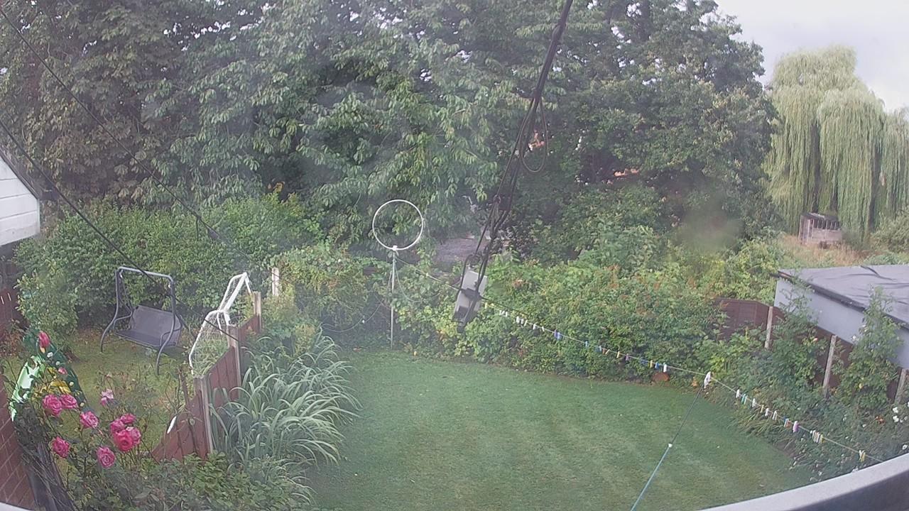20260805_063822_cam1.jpg
