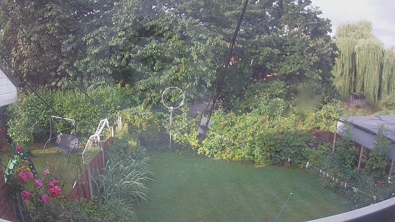 20260805_064232_cam1.jpg