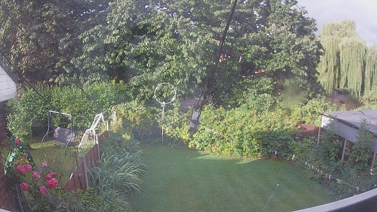 20260805_064641_cam1.jpg