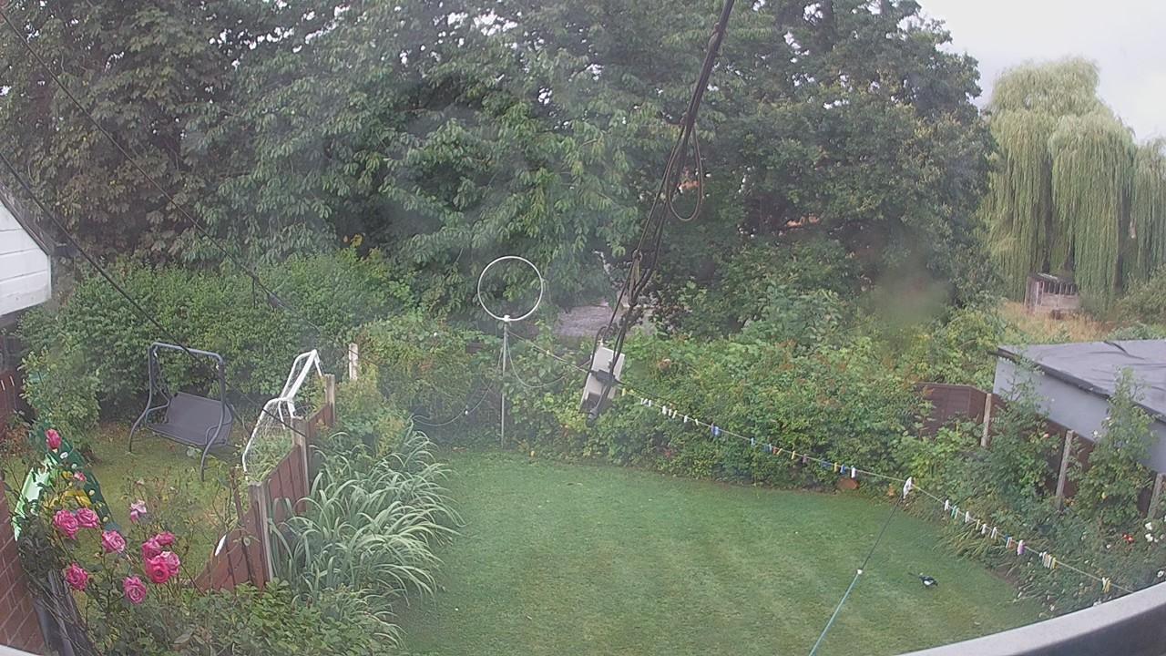 20260805_065050_cam1.jpg