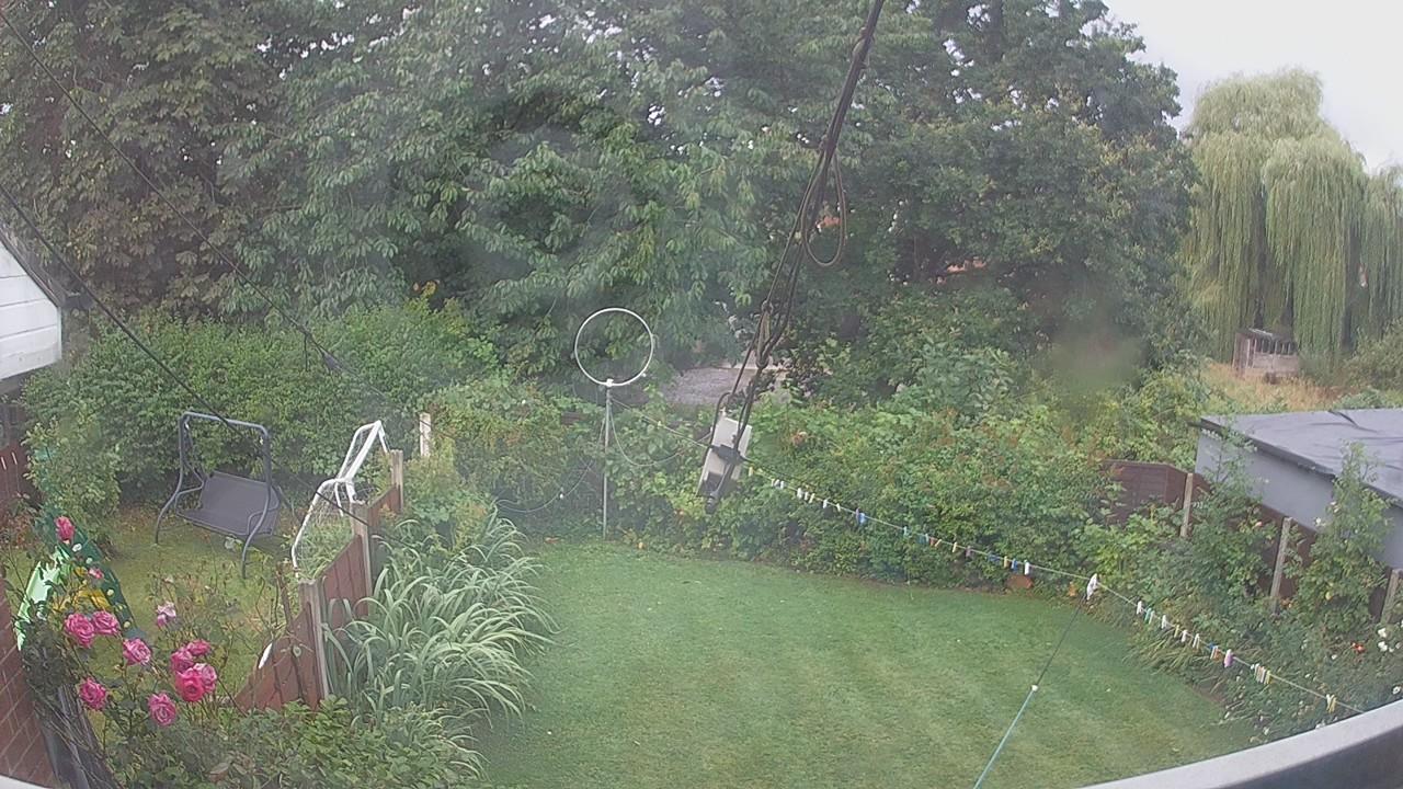 20260805_065501_cam1.jpg