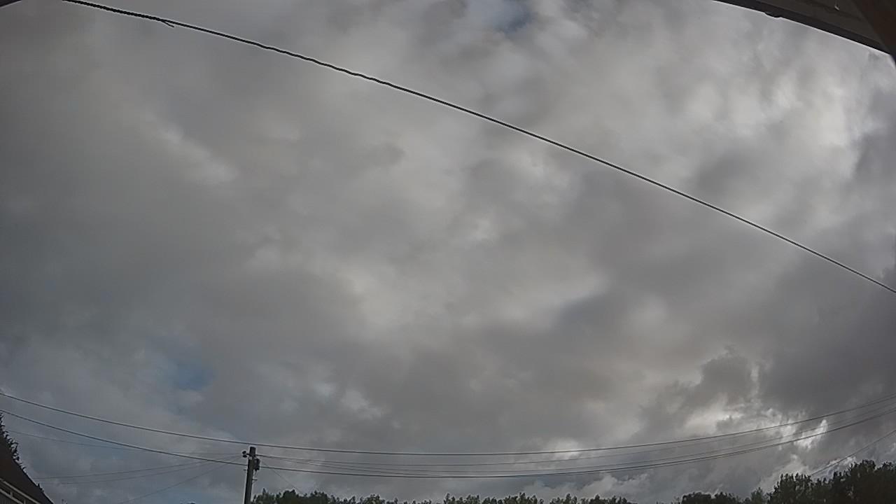 20260805_071852_cam2.jpg