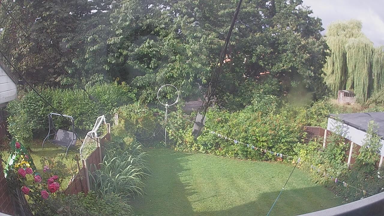 20260805_073619_cam1.jpg