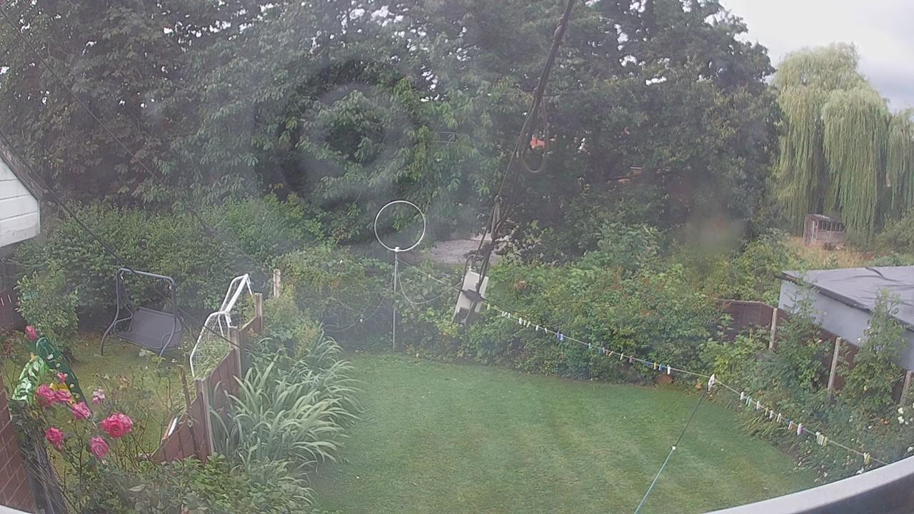 20260805_073952_cam1.jpg