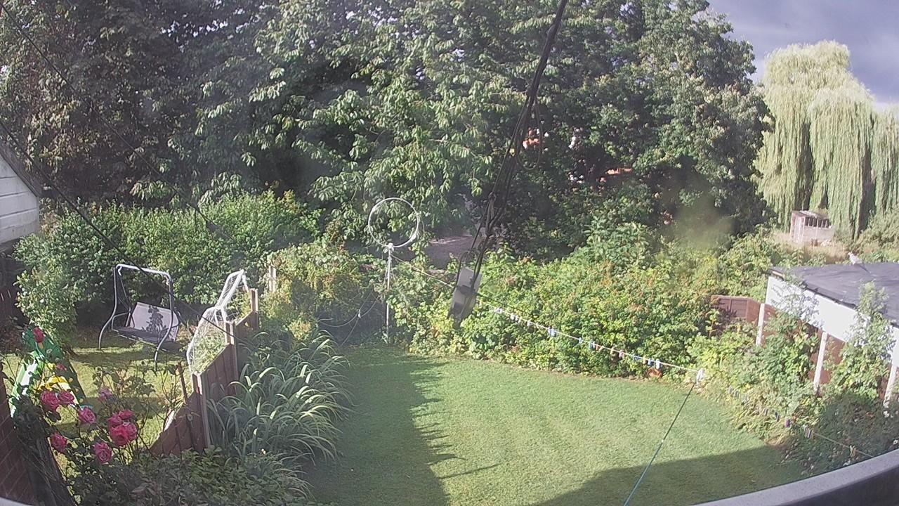 20260805_074325_cam1.jpg