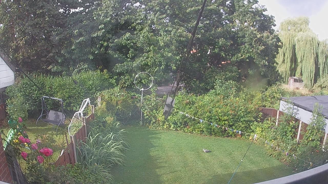 20260805_074658_cam1.jpg