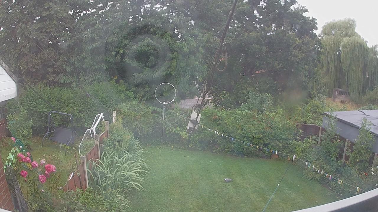 20260805_075031_cam1.jpg