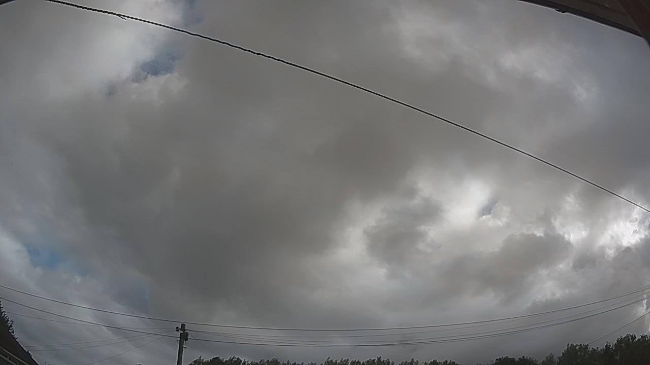 20260805_075032_cam2.jpg