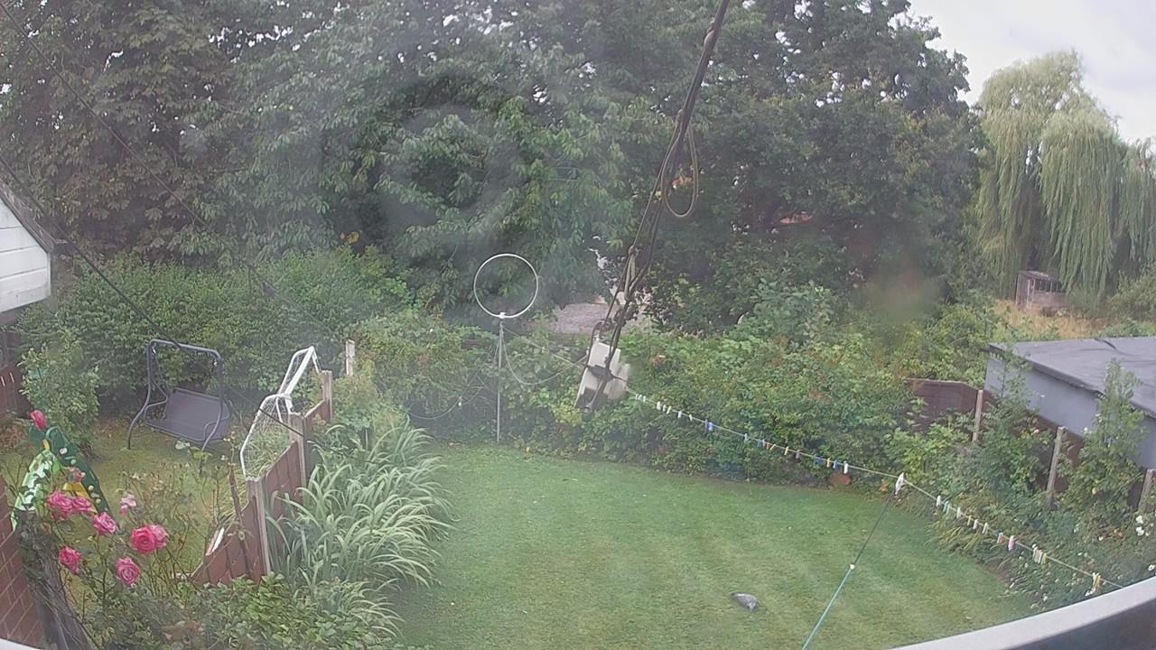 20260805_075404_cam1.jpg