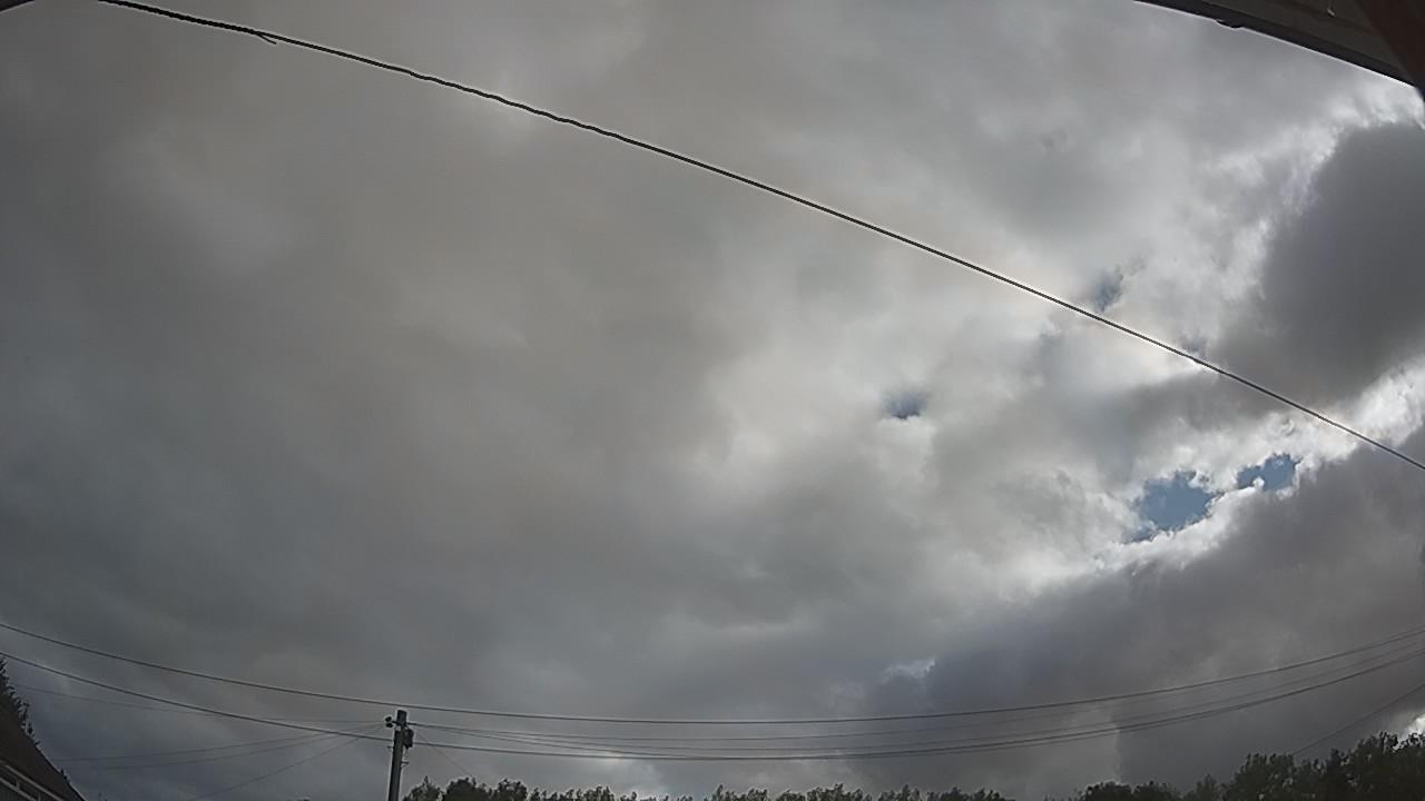 20260805_075405_cam2.jpg