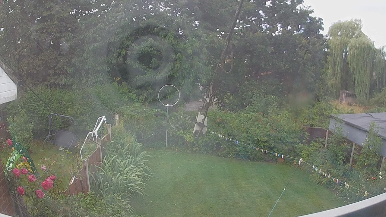 20260805_080043_cam1.jpg