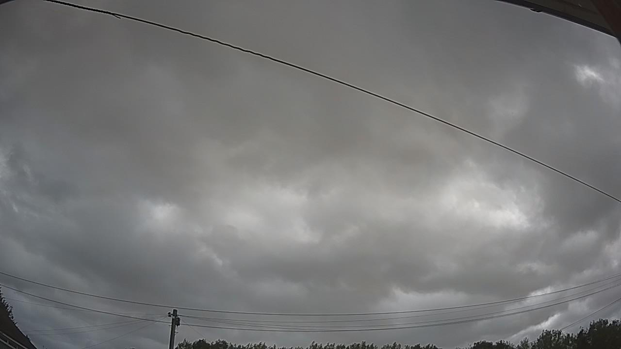 20260805_080044_cam2.jpg