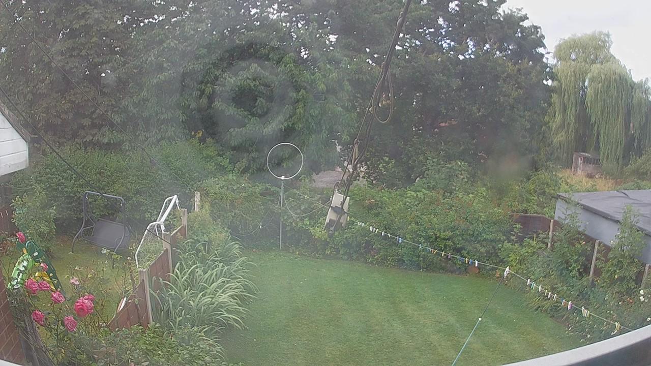 20260805_080349_cam1.jpg