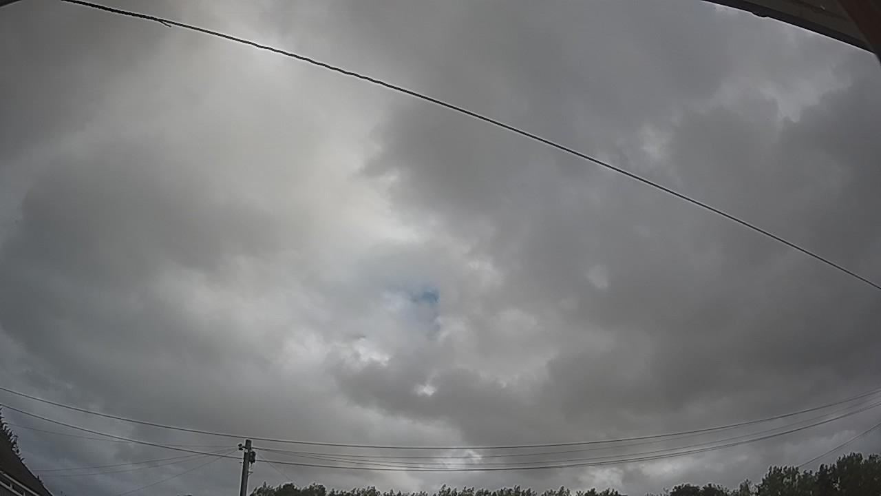 20260805_080350_cam2.jpg