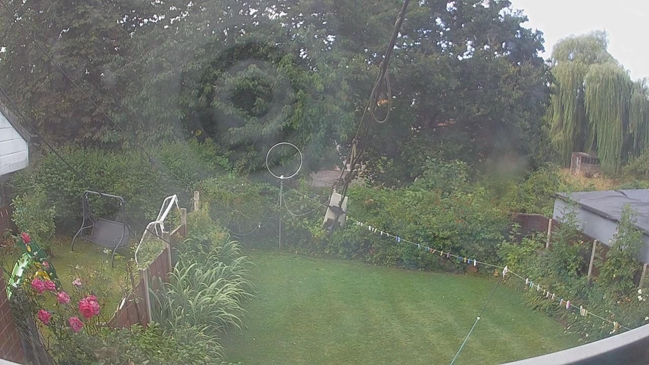 20260805_080655_cam1.jpg
