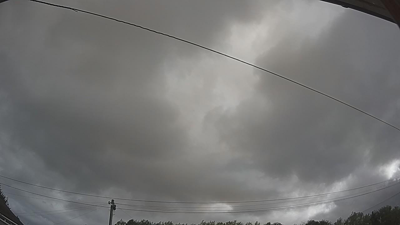 20260805_080656_cam2.jpg