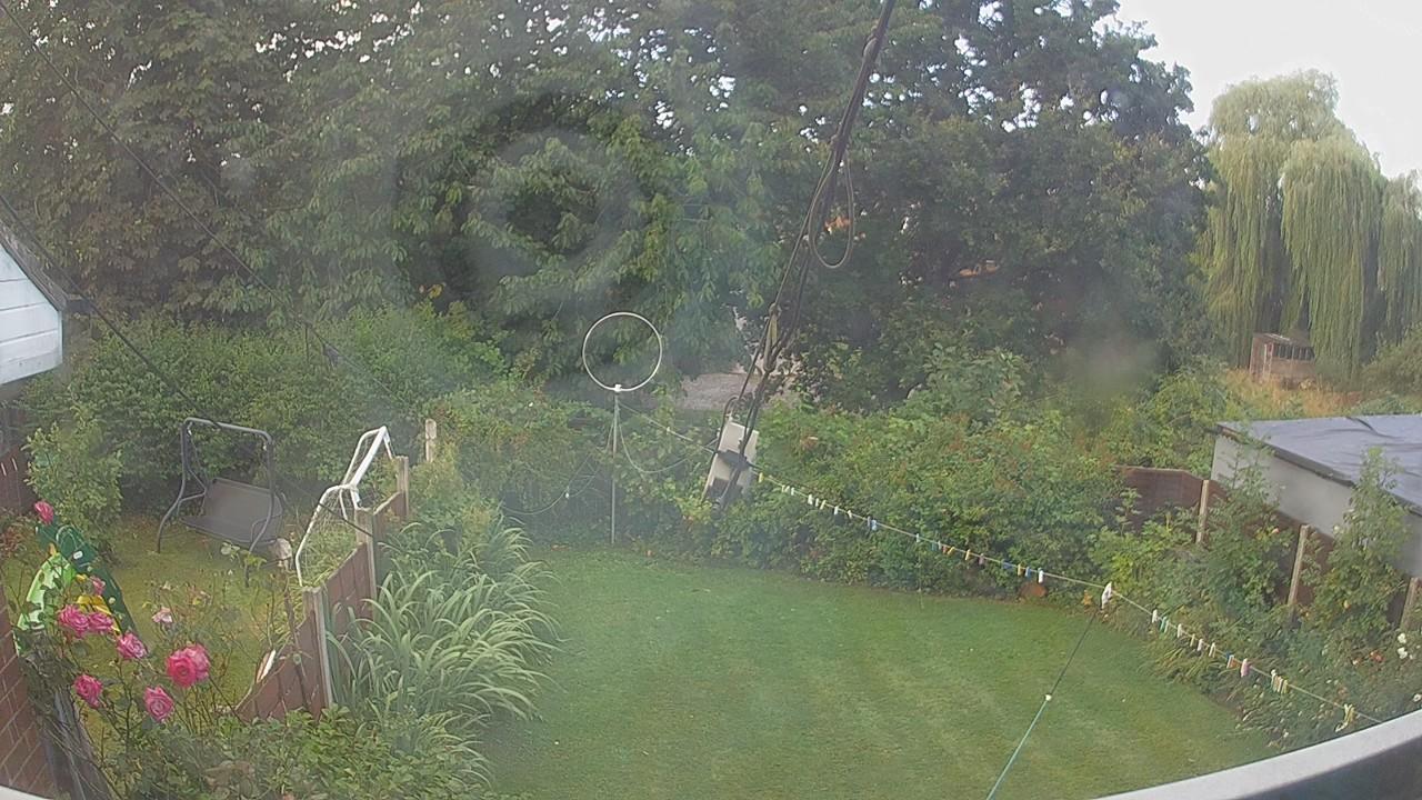 20260805_081001_cam1.jpg