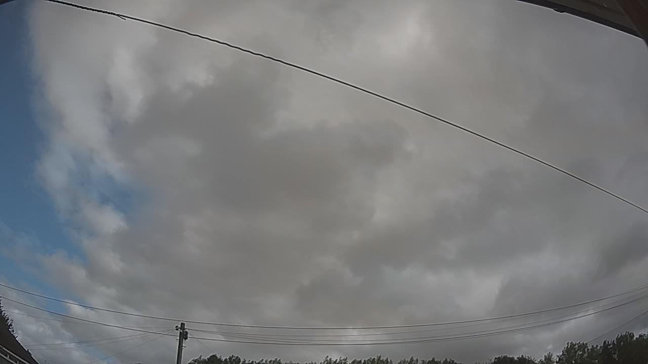 20260805_081002_cam2.jpg