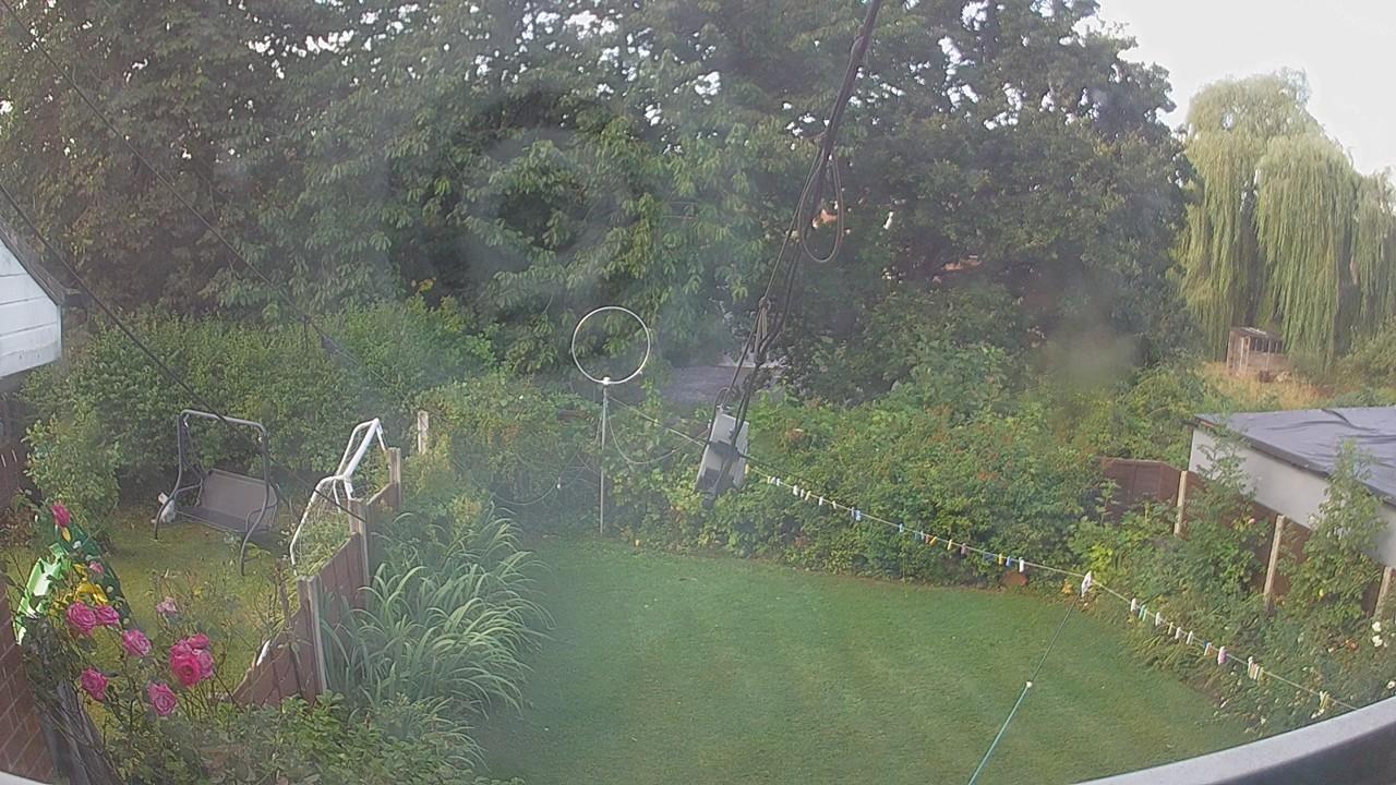 20260805_081308_cam1.jpg
