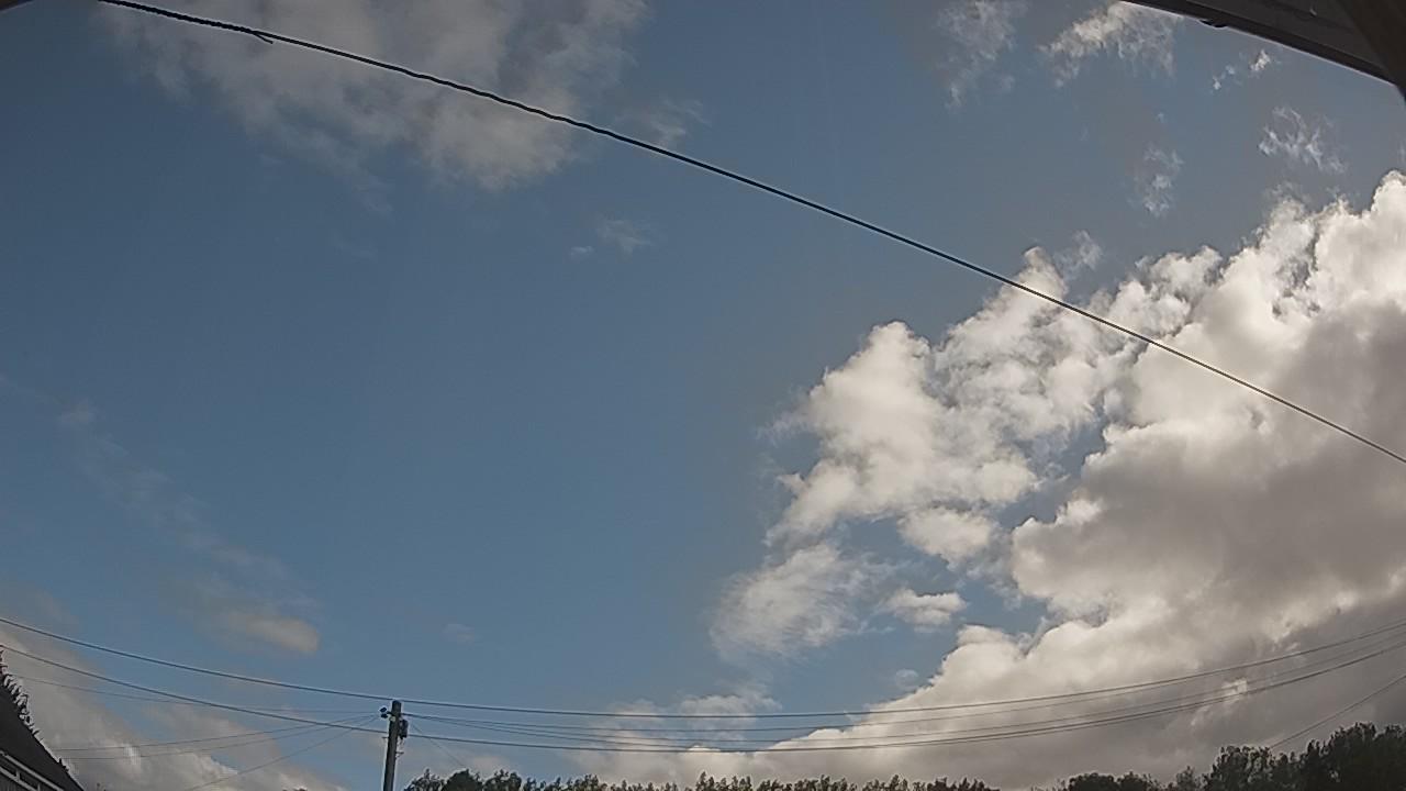 20260805_081309_cam2.jpg
