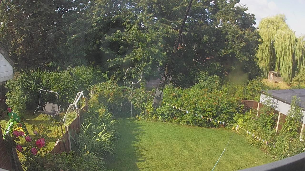 20260805_081614_cam1.jpg