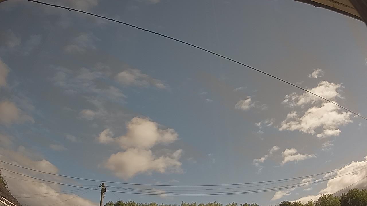 20260805_081615_cam2.jpg
