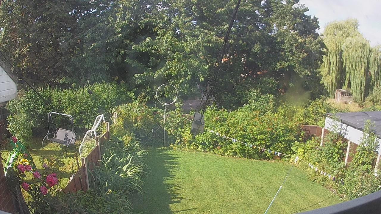 20260805_081920_cam1.jpg