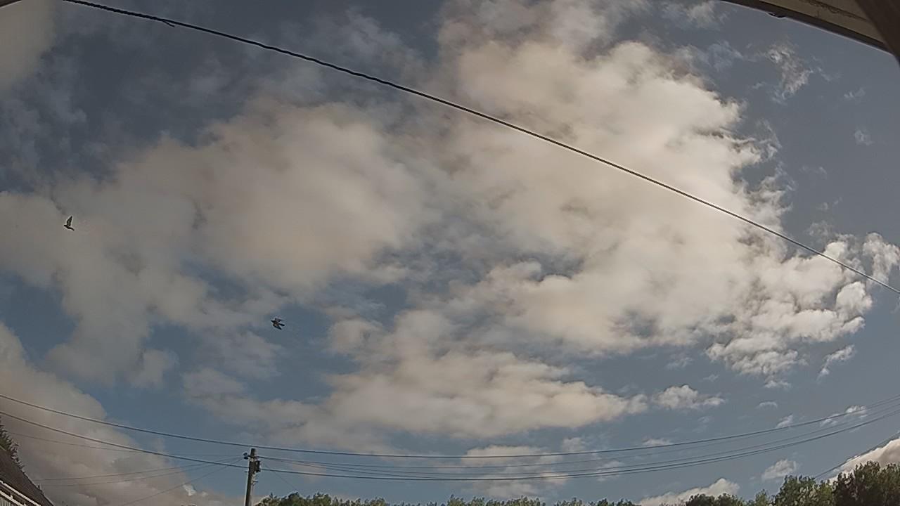 20260805_081921_cam2.jpg