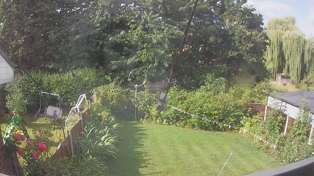 20260805_082226_cam1.jpg