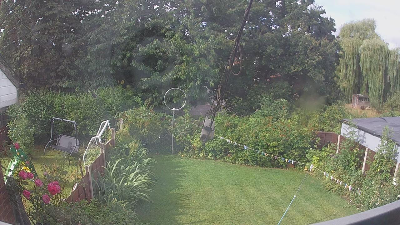 20260805_082532_cam1.jpg